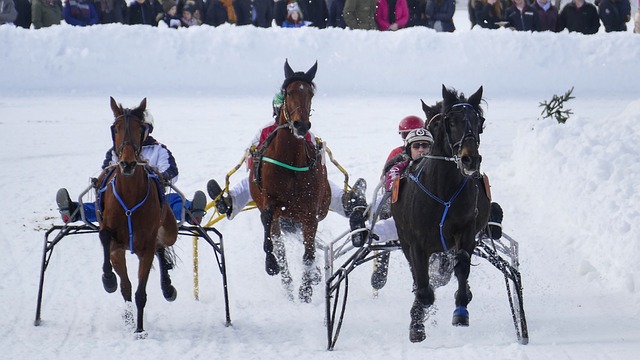 CBA球队战术分析：新疆队防守策略,
