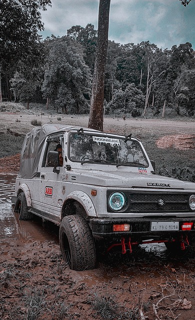 阵罗马也引 阵罗马也引